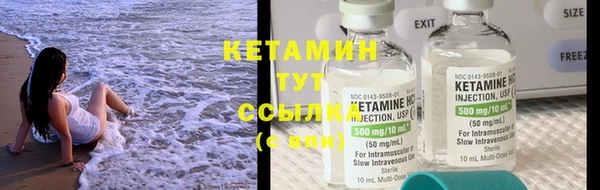 шишки Магас