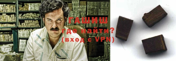 шишки Магас