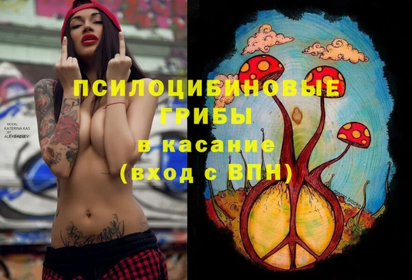 эйфоретик Магадан