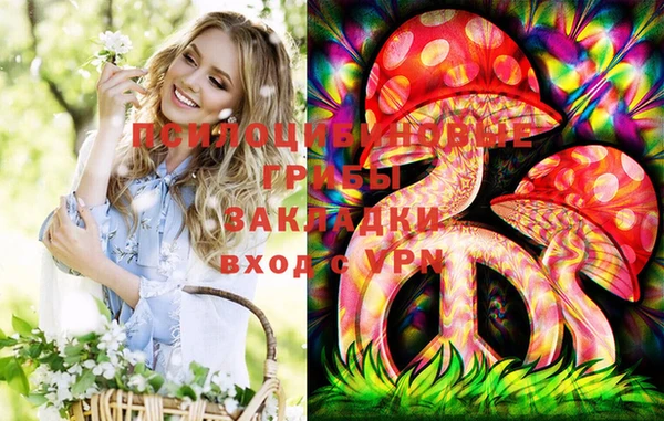 шишки Магас