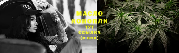 шишки Магас