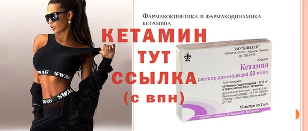 шишки Магас