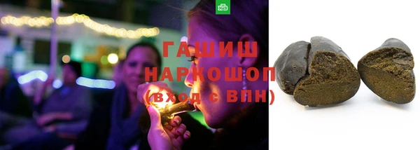 шишки Магас