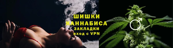 шишки Магас