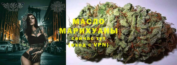 шишки Магас