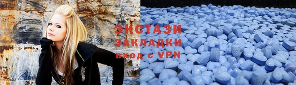 шишки Магас