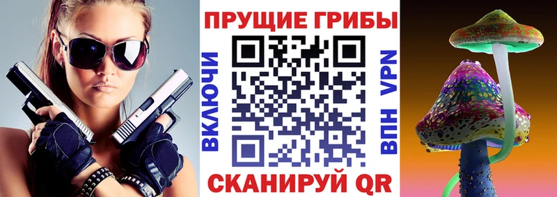 это какой сайт  что такое   Заречный  Галлюциногенные грибы ЛСД 