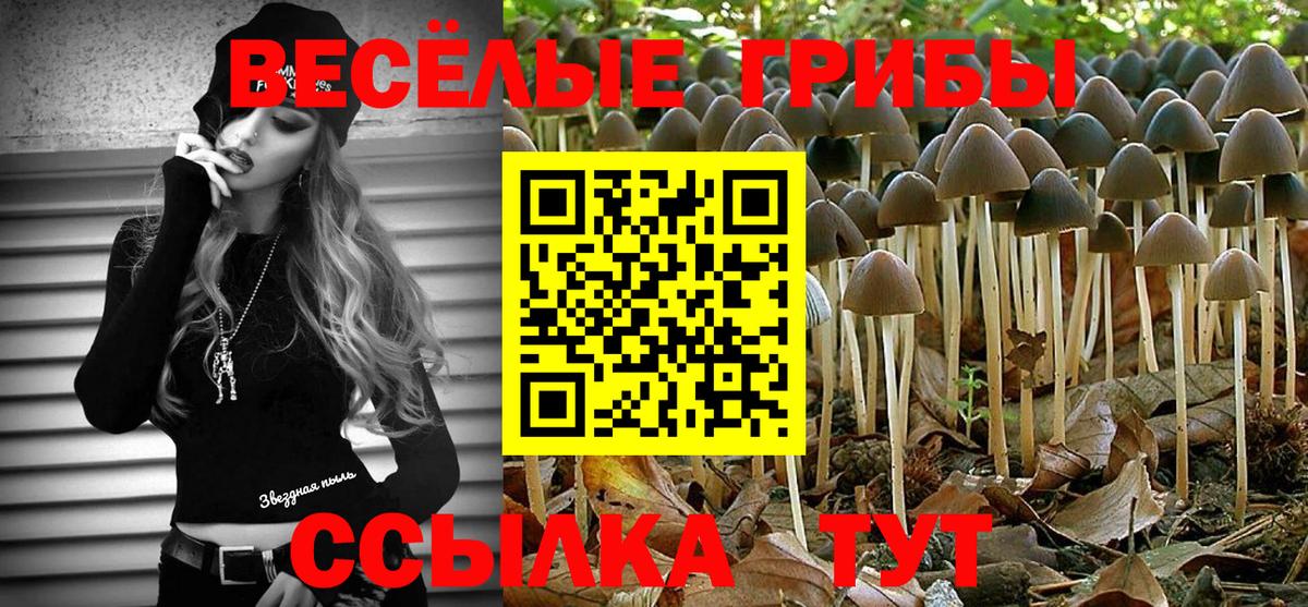 Галлюциногенные грибы Psilocybe Заречный